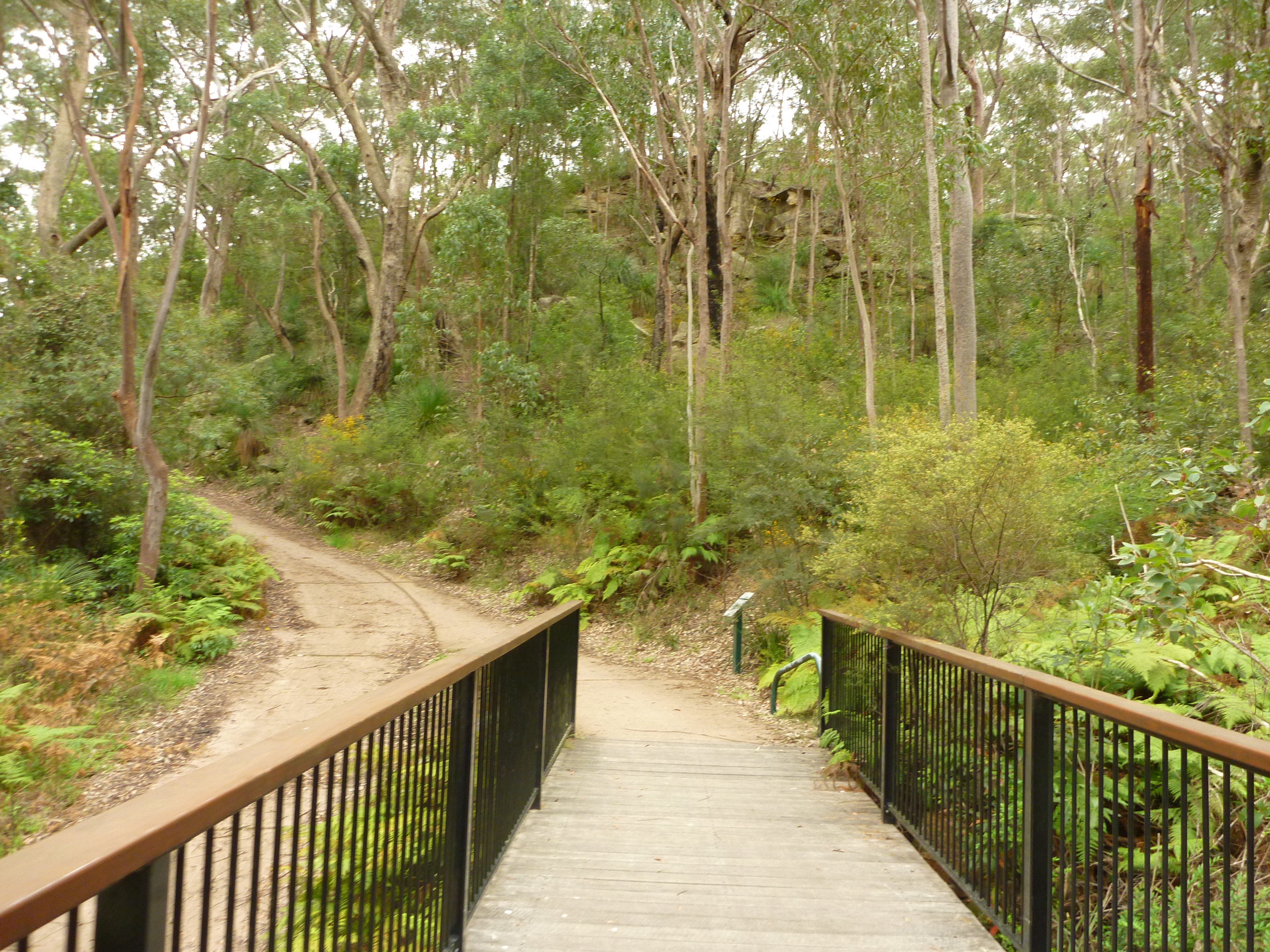 Bellamy fire trail