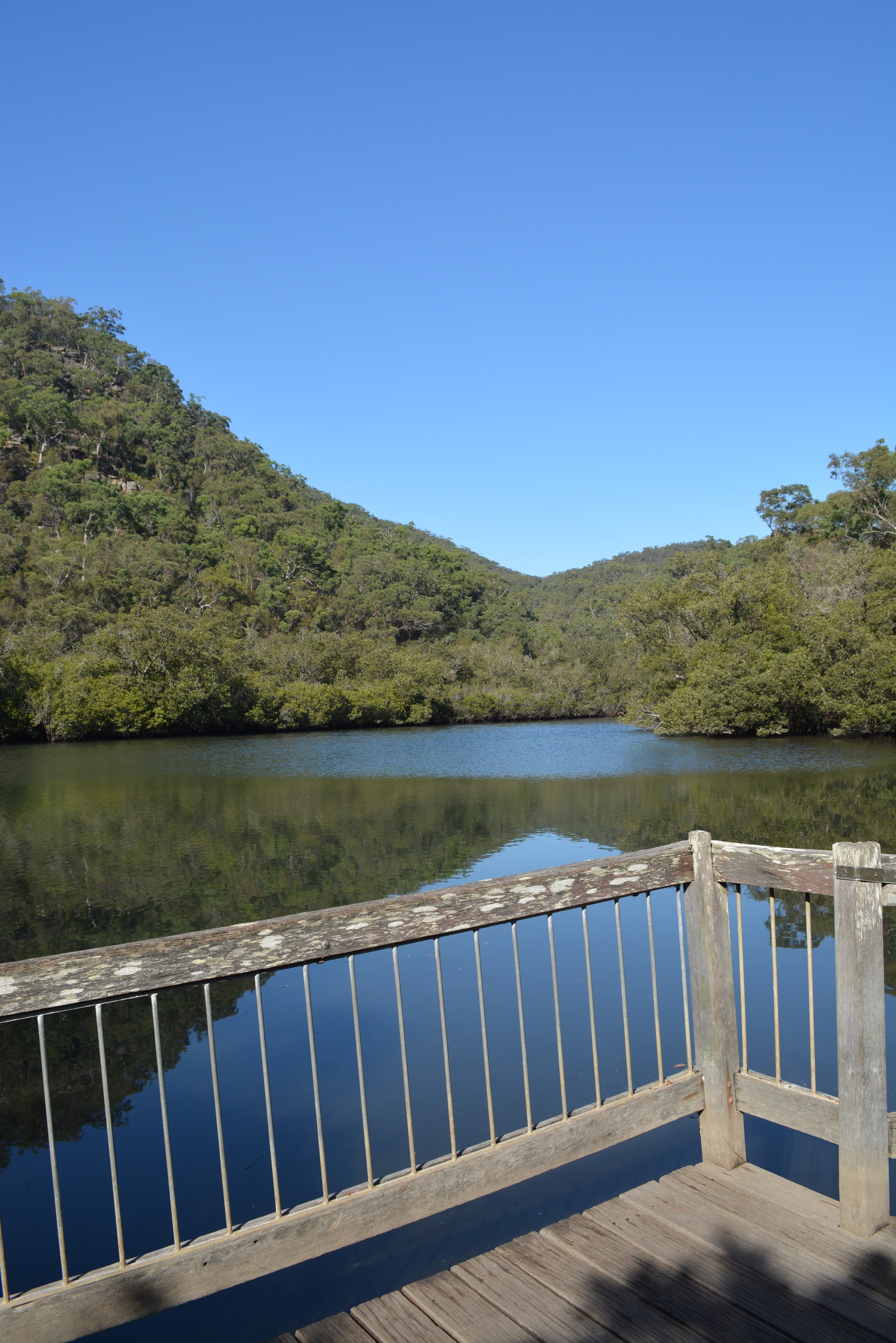 Bobbin Head Boardwalk