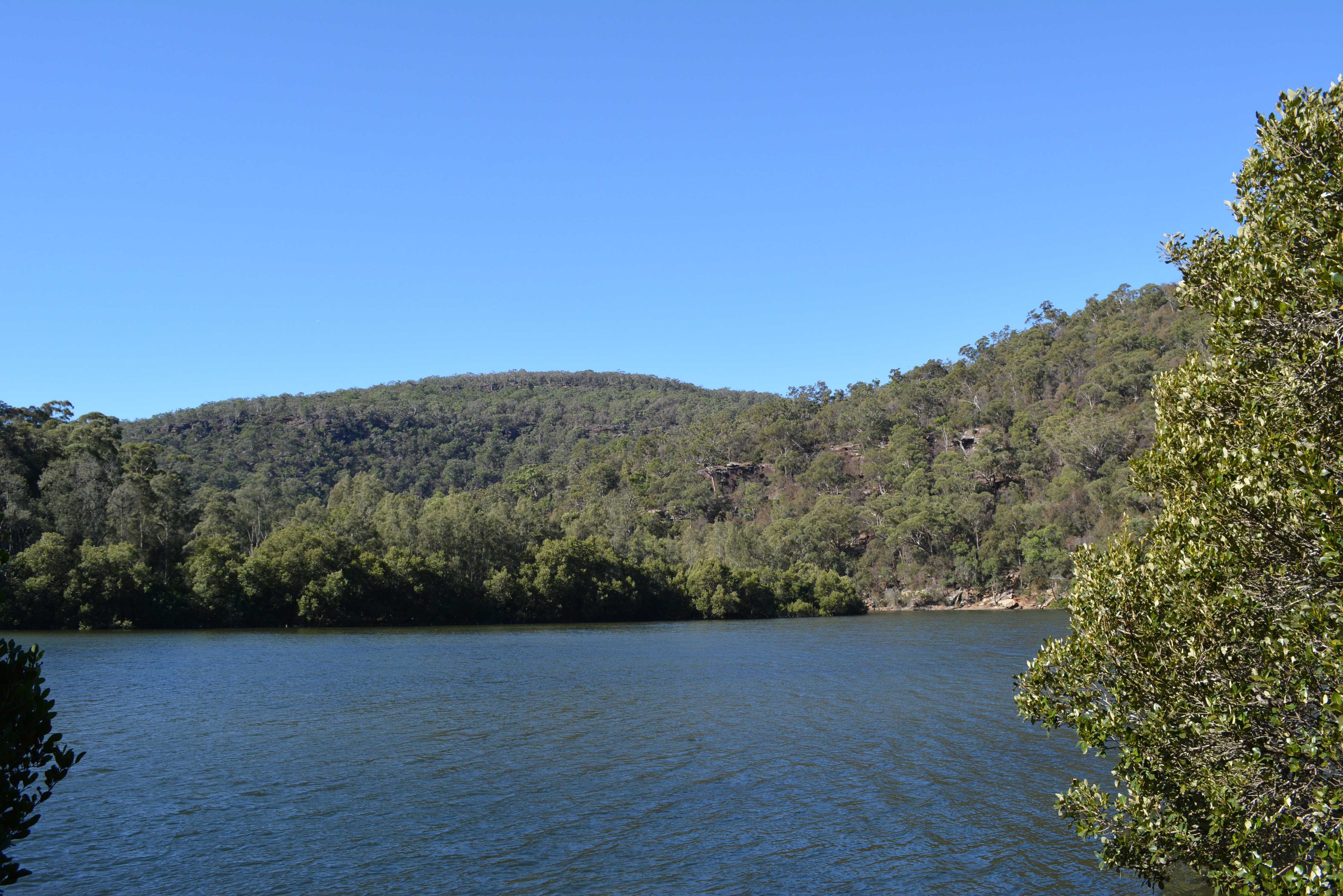 Crosslands to Berowra Creek Lookout