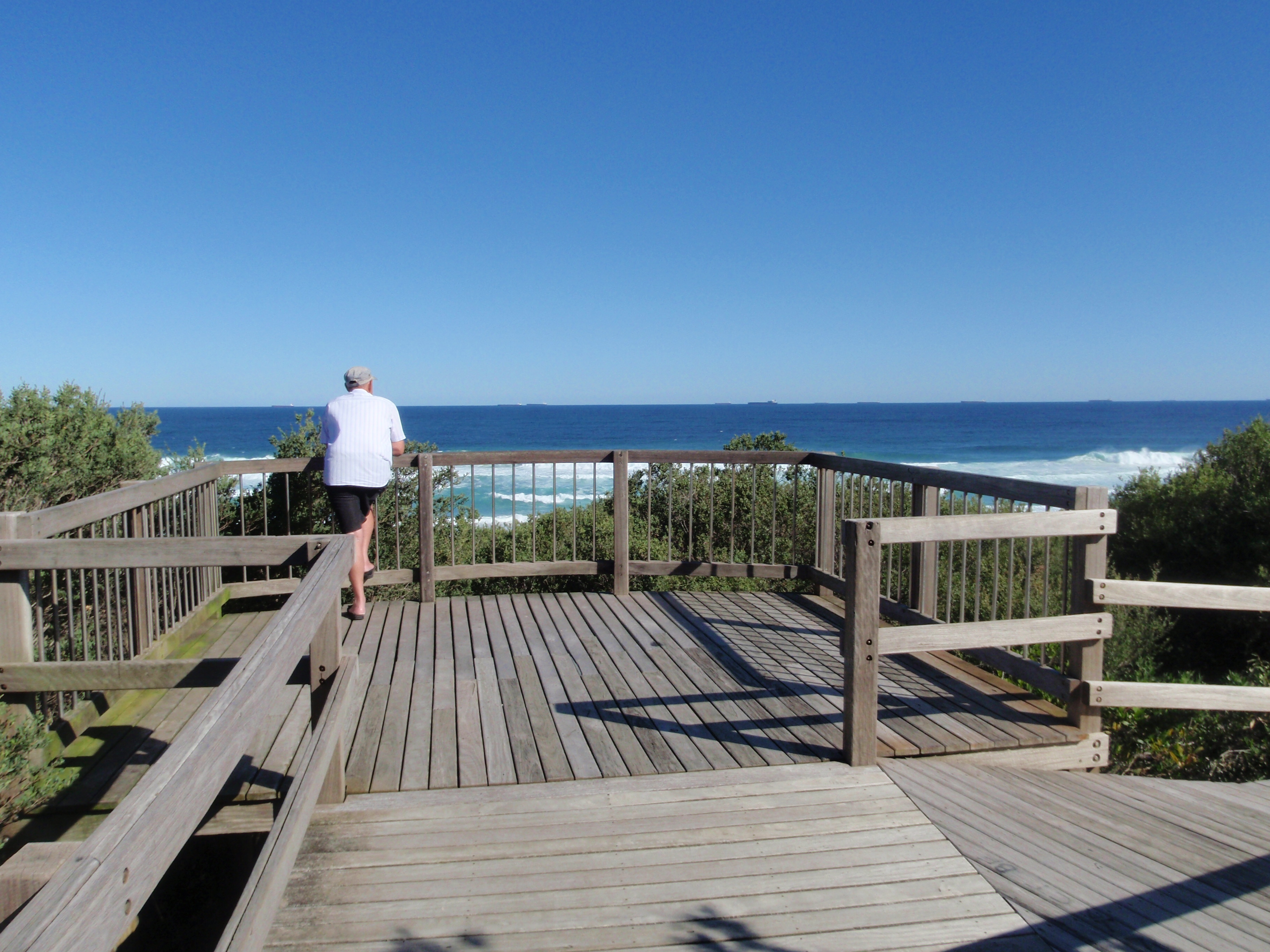 Tea Tree Picnic Area to Bird Island Lookout