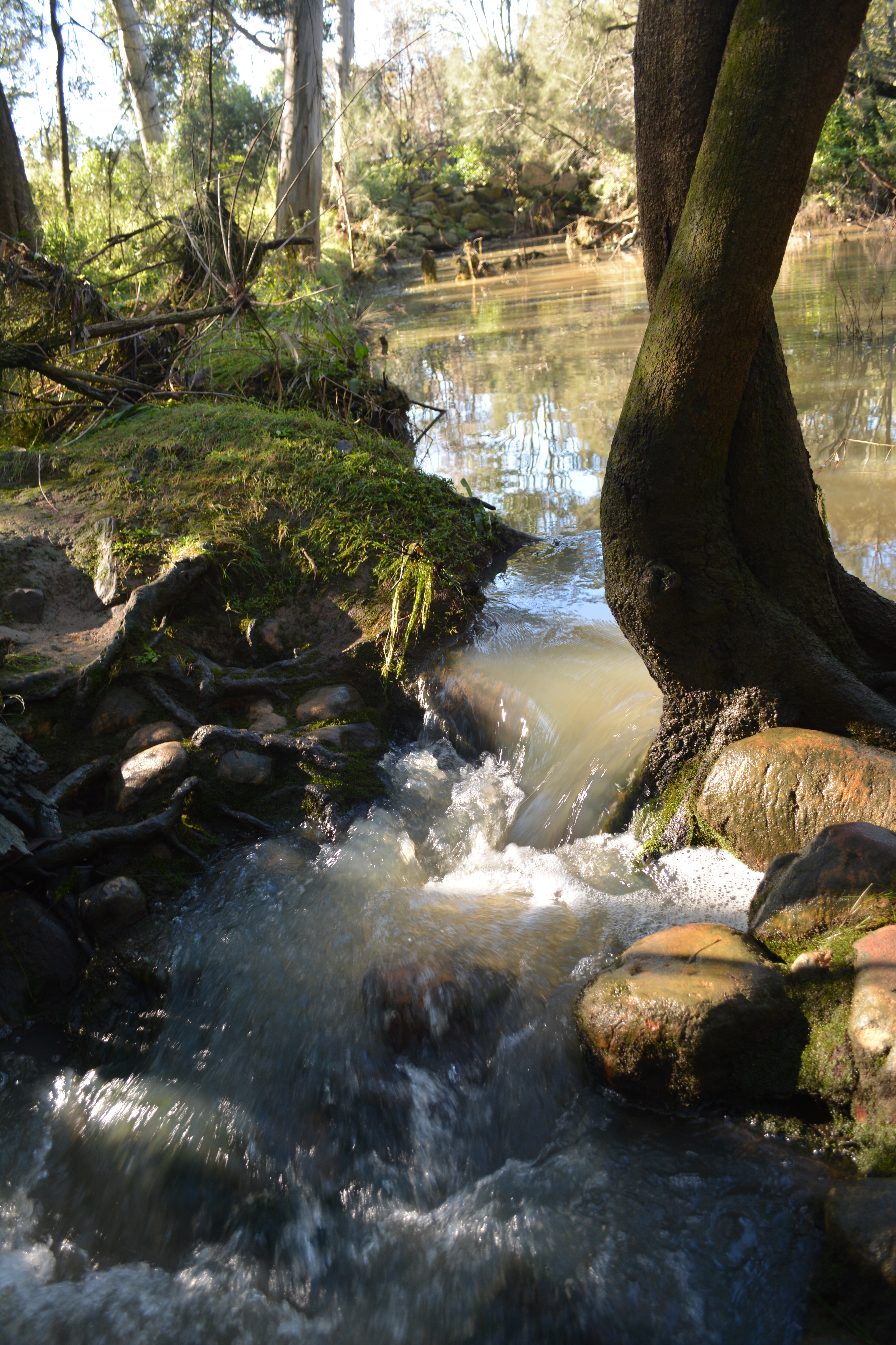 Second Ponds Creek walk