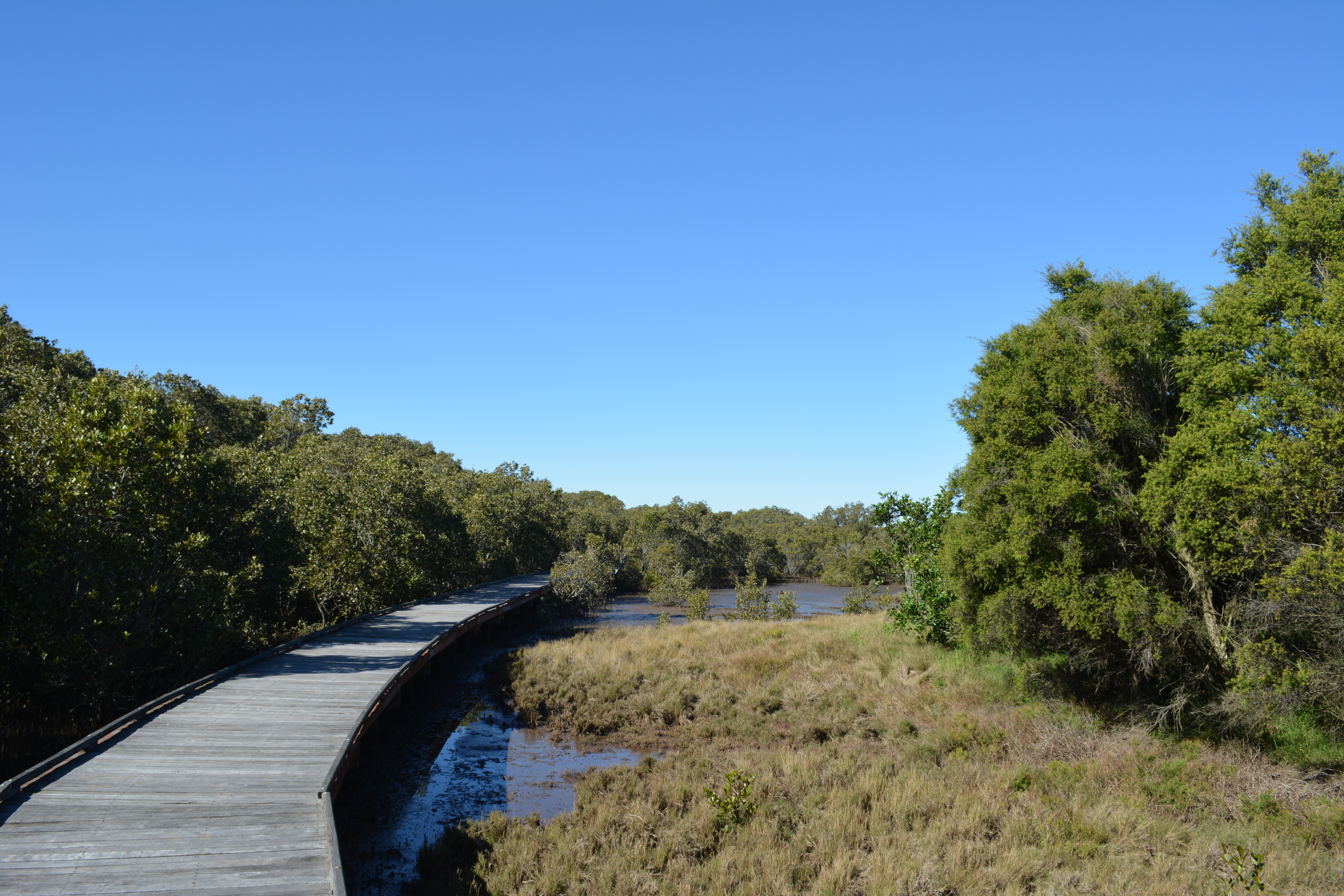 The Welcome walk