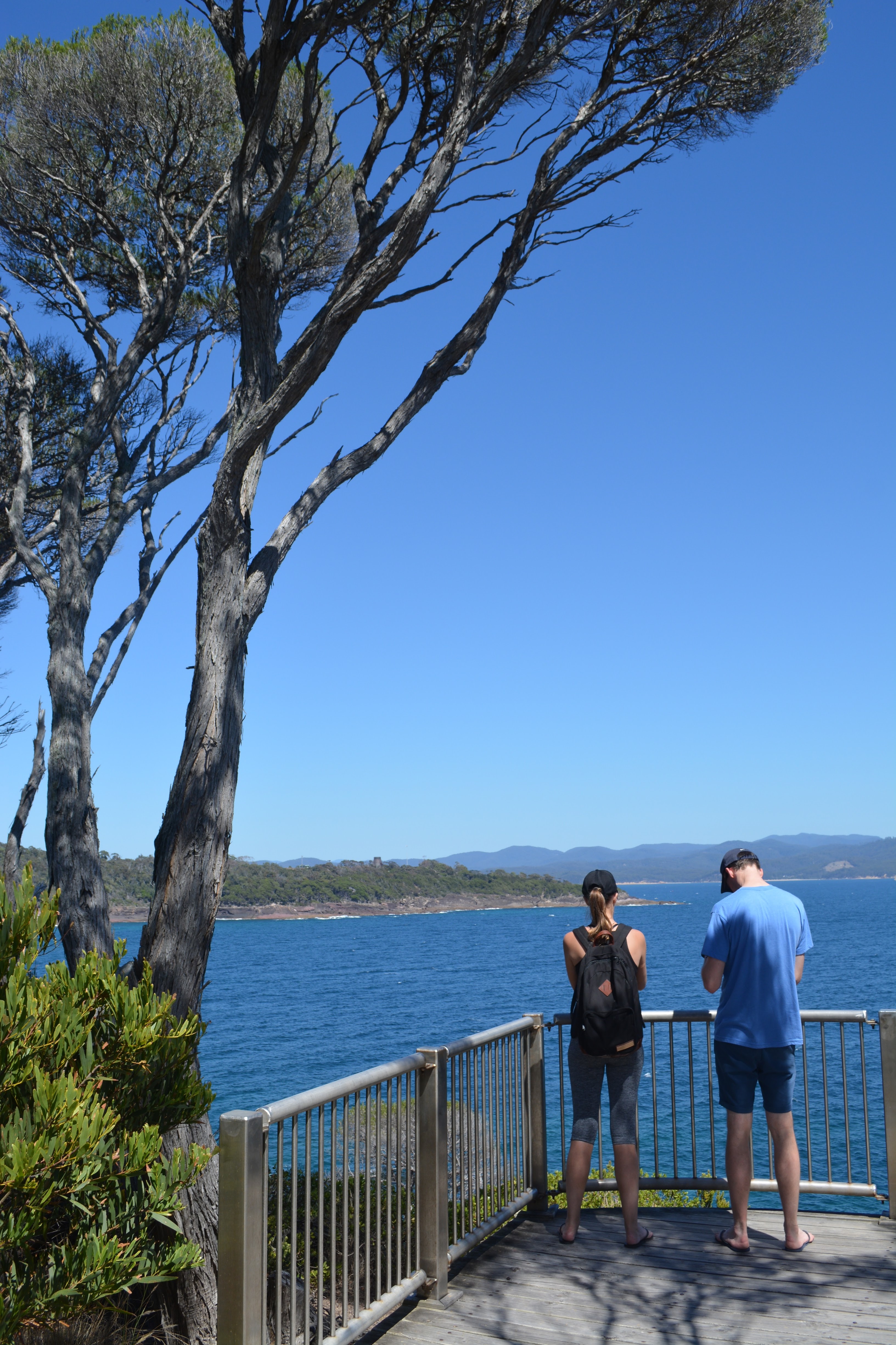 Twofold Bay Lookout via Boyd Tower