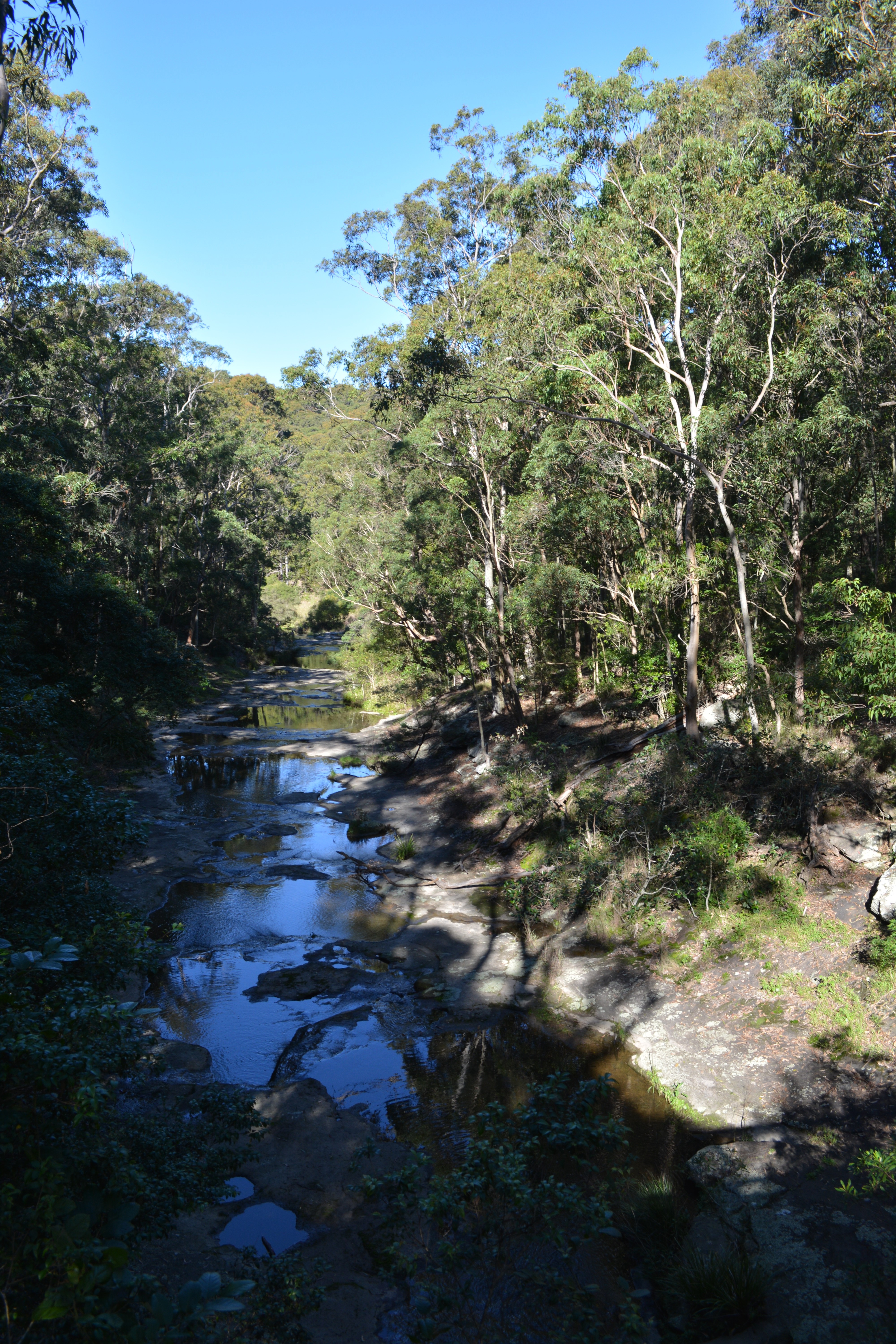 Yuelarbah walking track to Flaggy Creek
