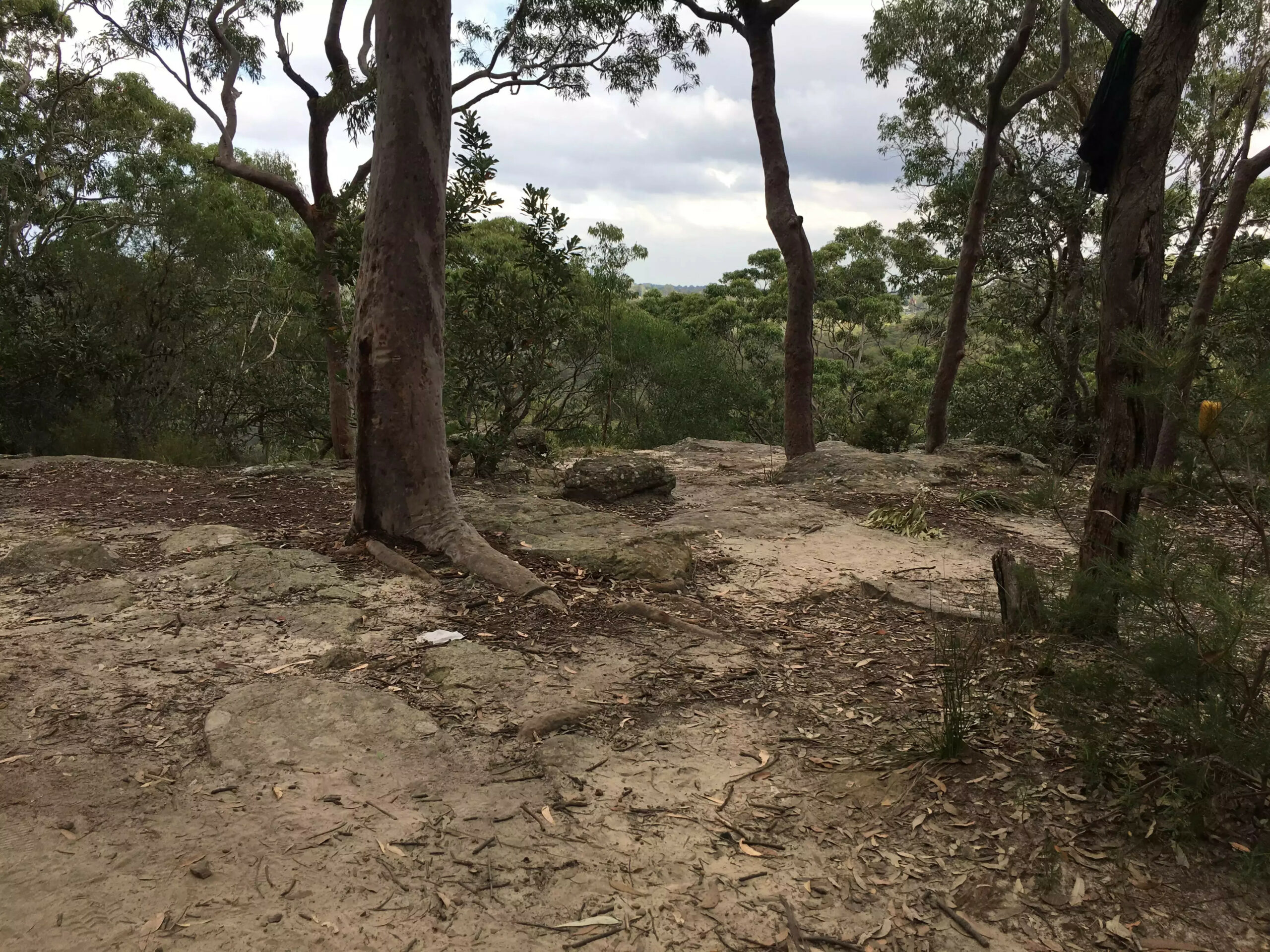 City View Track, Acron Oval