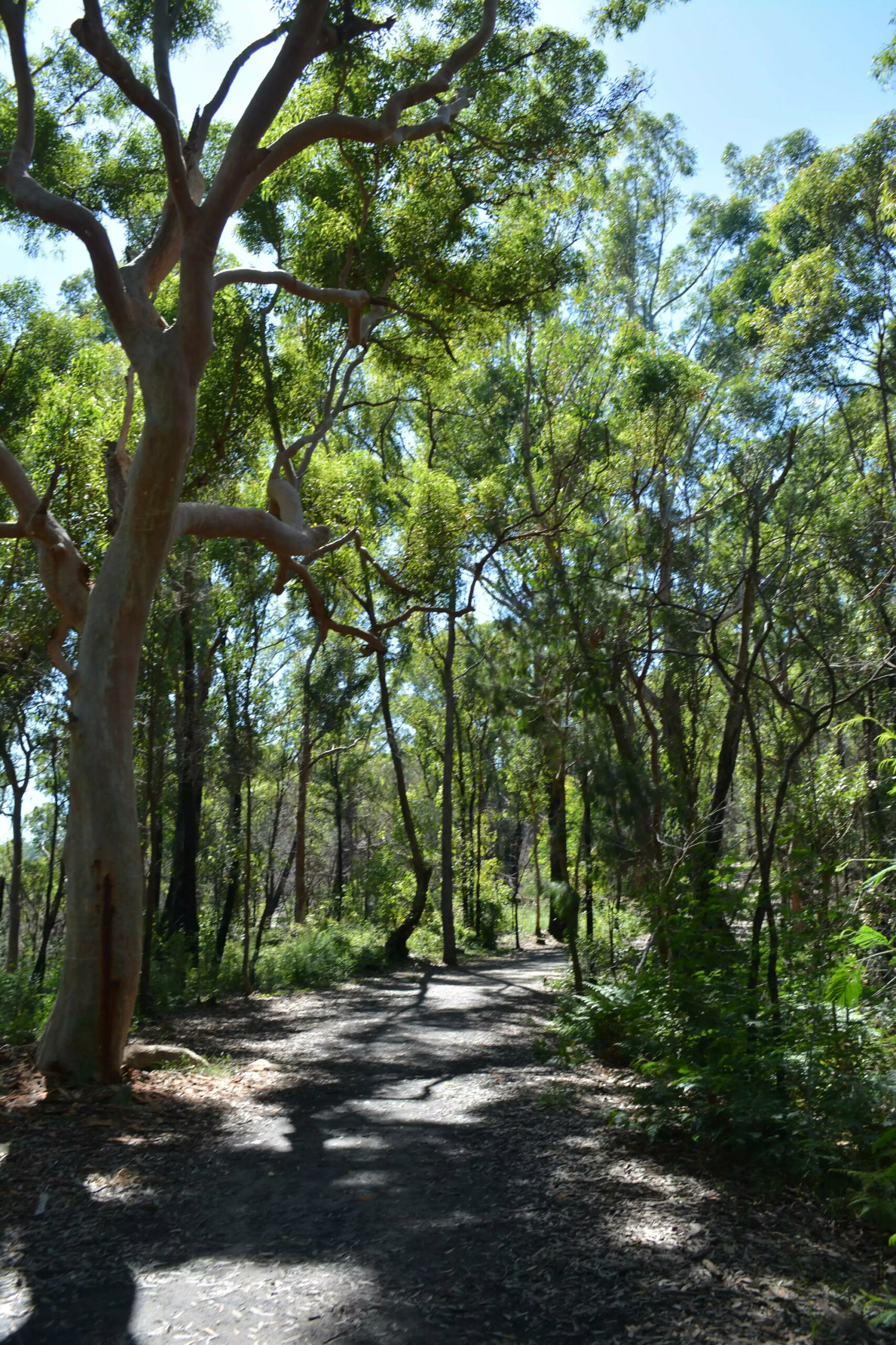 Twin Creeks Reserve Ridge